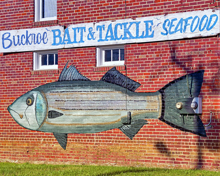 Buckroe Bait,Tackle and Seafood Photograph by Jerry Gammon