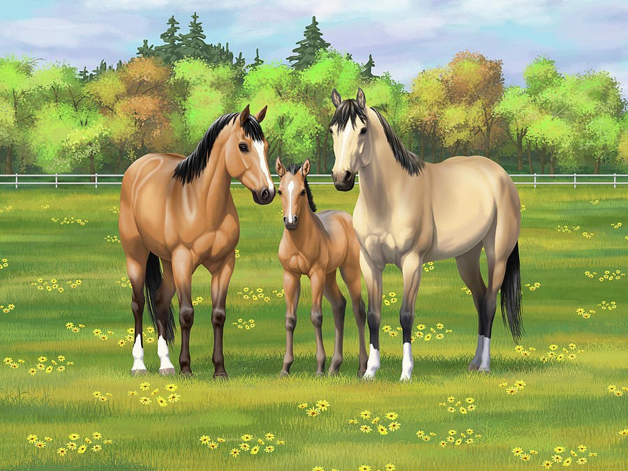 Buckskin Dun Quarter Horses in Summer Pasture Painting by Crista Forest