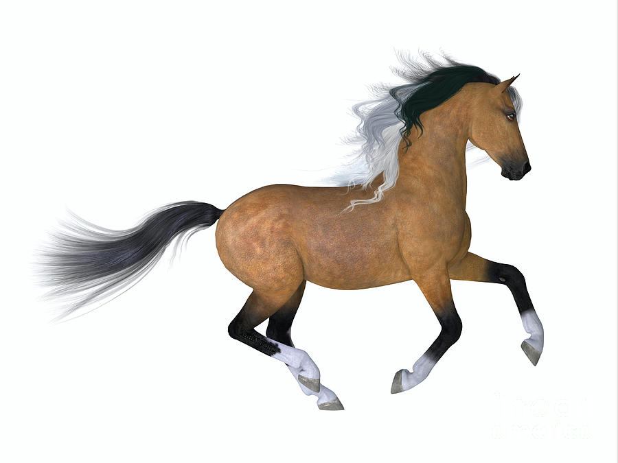 Buckskin Quarter Horse Digital Art