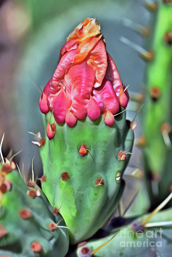 Bud Of A Cactus Flower Painting