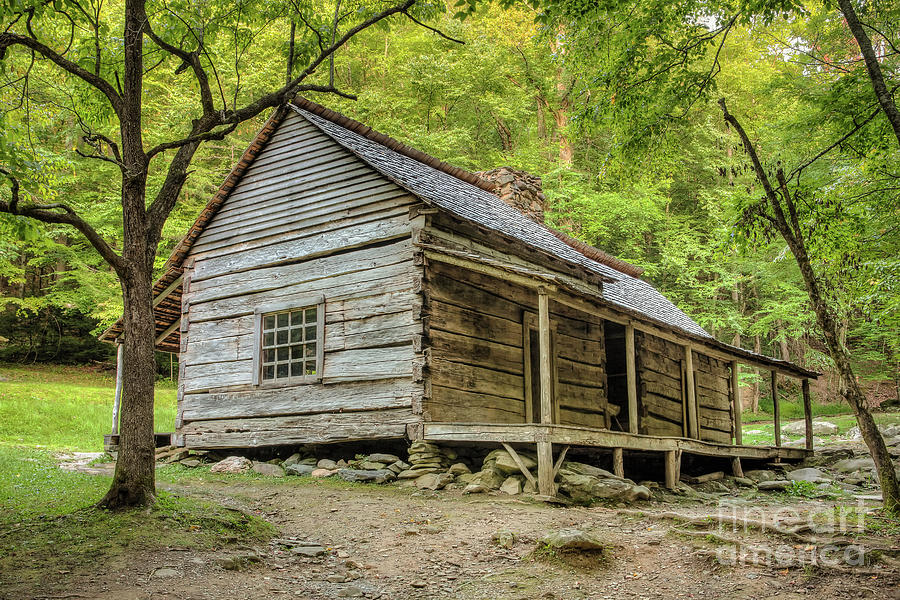 Bud Ogle Cabin 400 Photograph by Maria Struss Photography