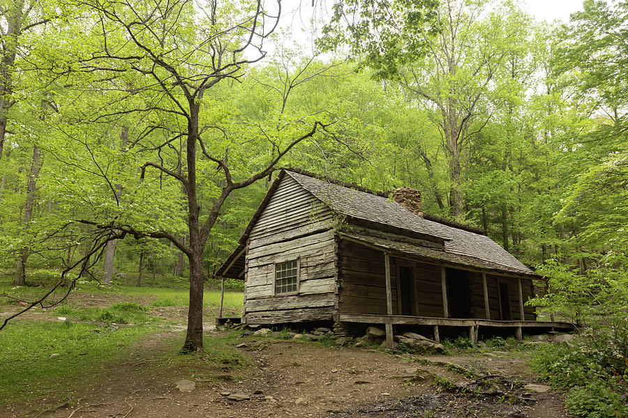 Bud Ogle Cabin On Roaring Fork Motor Nature Trail Photograph by Carol ...