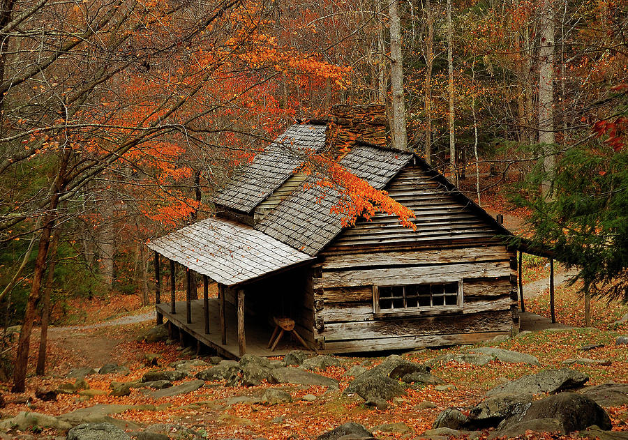 Bud Ogle's Cabin Photograph by Richard Norman - Fine Art America