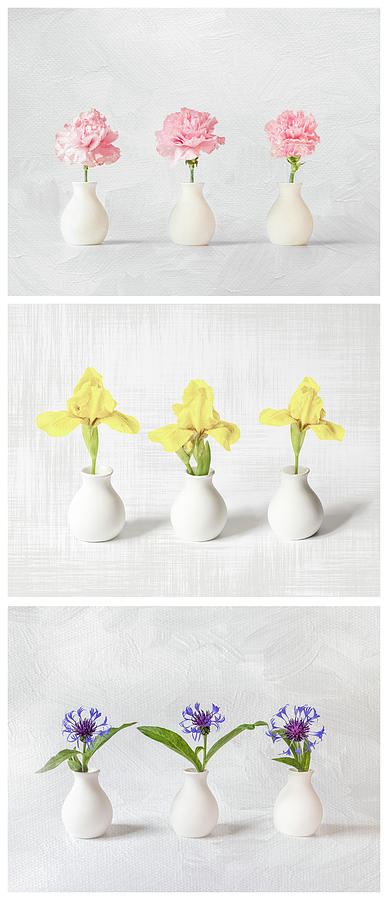 Bud Vase Flowers Triptych Photograph by Patti Deters