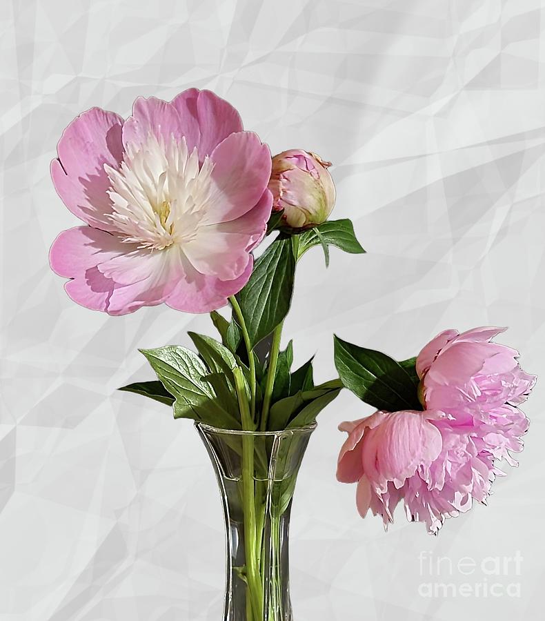 Bud Vase of Peonies Photograph by Jeannie Rhode