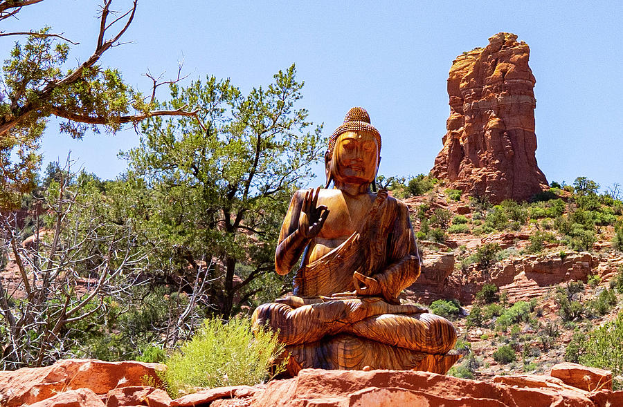 Budda In Arizona Photograph