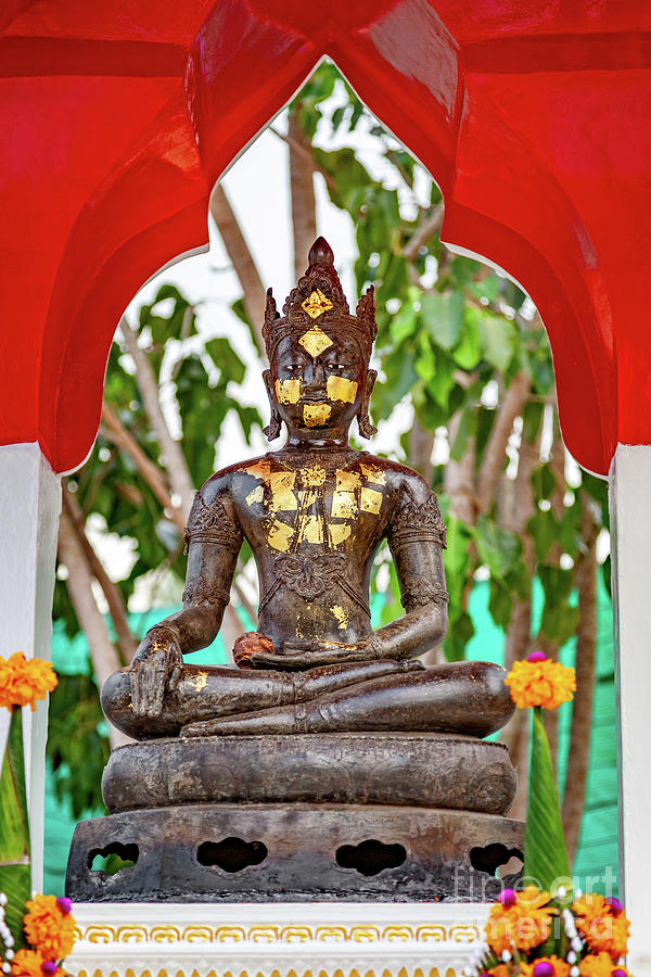 Buddha Photograph - Buddha Bangkok Thailand by Adrian Evans