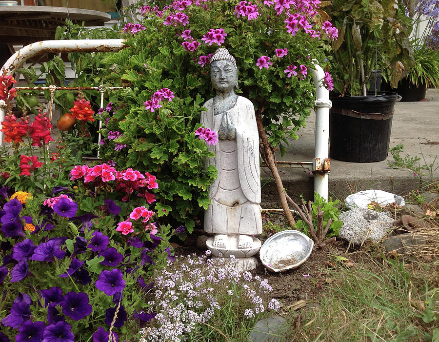 Buddha Garden Photograph by Ron McMath - Fine Art America