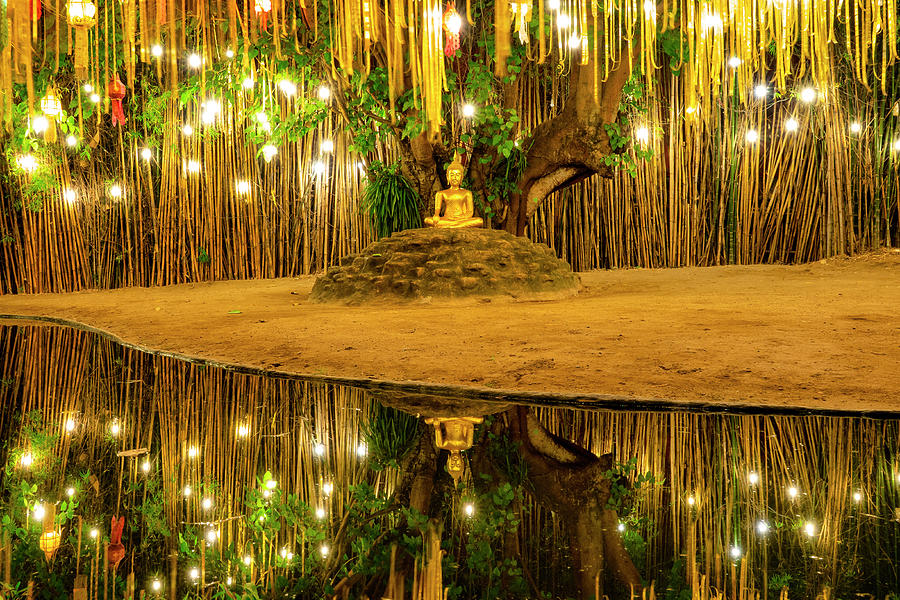 Buddha image sitting under a Bodhi tree Photograph by Fabrizio Troiani