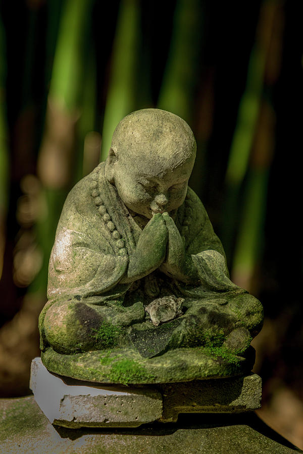 Buddha in a Bamboo Garden Photograph by W Chris Fooshee
