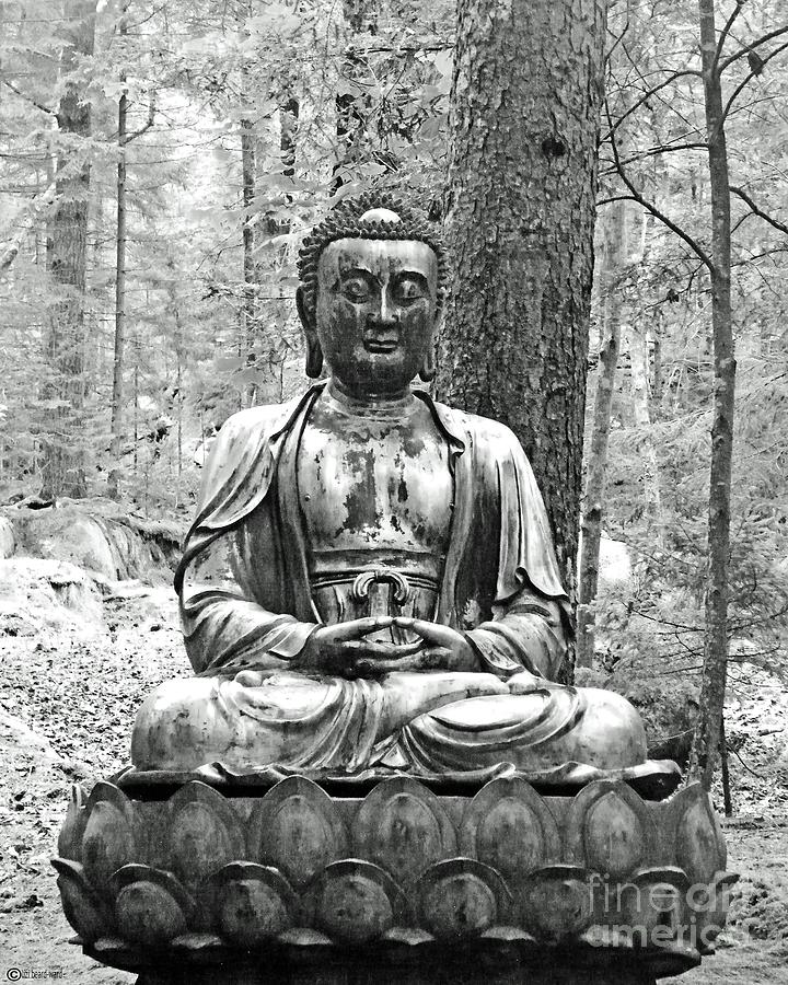 Buddha in the Garden Photograph by Lizi Beard-Ward