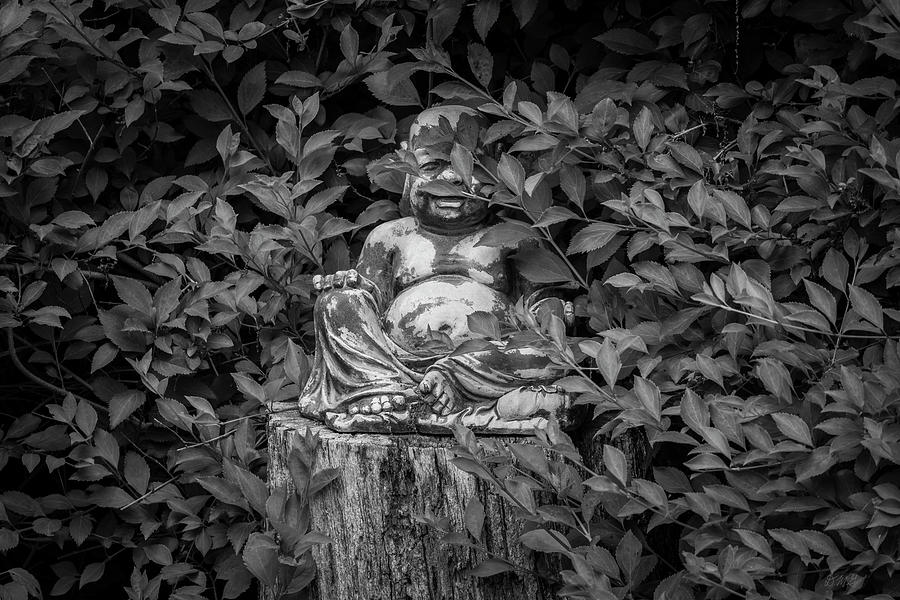 Buddha IX BW Photograph by David Gordon