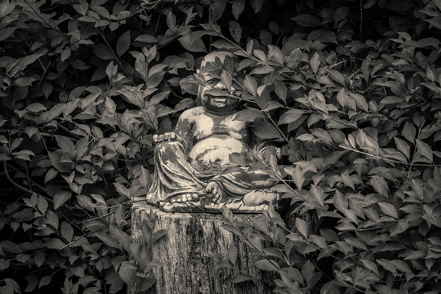 Buddha Photograph - Buddha IX Toned by David Gordon