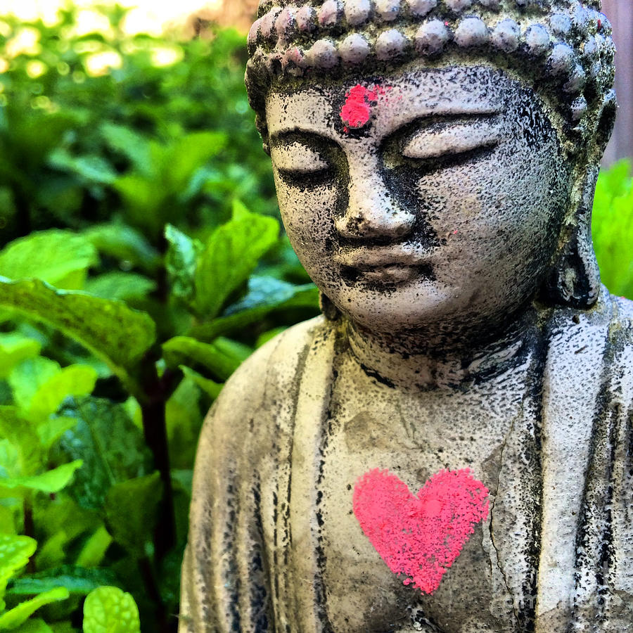 Buddha Love Photograph By Colleen Proppe | Fine Art America