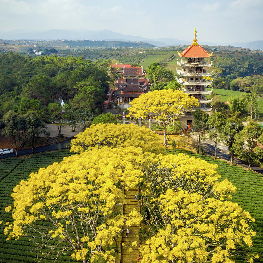 Buddha Pagoda Photograph by Khanh Bui Phu