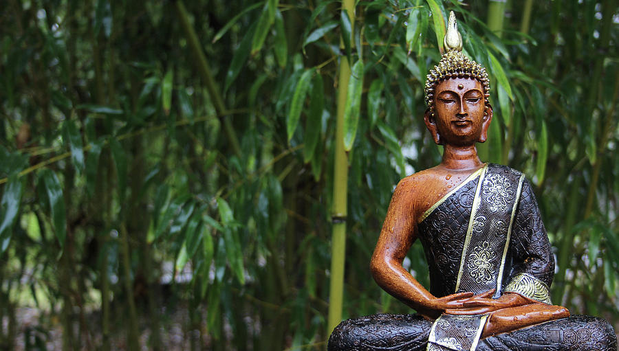 Buddha Statue in rain with bamboo background Photograph by Lori Martin ...