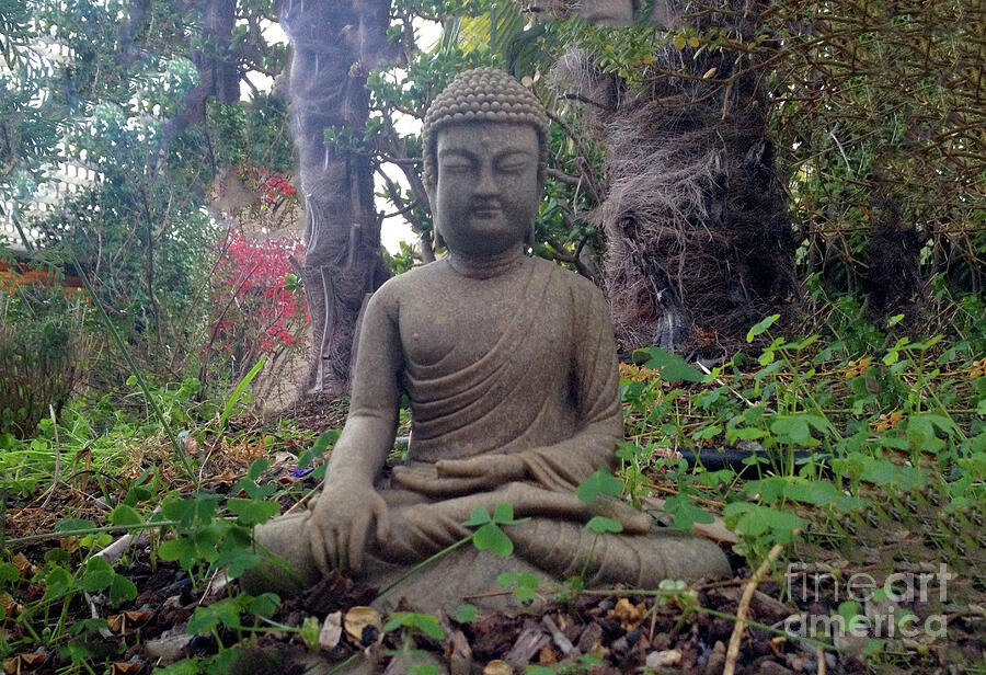 Buddha Photograph - Buddha Statue Sitting in a Celestial Garden by Wernher Krutein