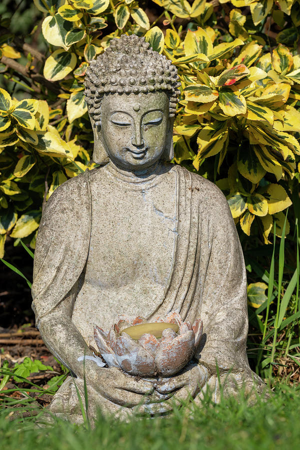 Buddha Photograph by Steev Stamford