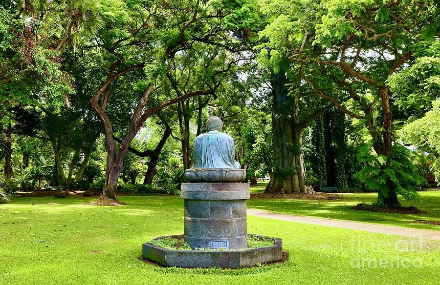 Buddhas Meditative Garden Photograph by Craig Wood