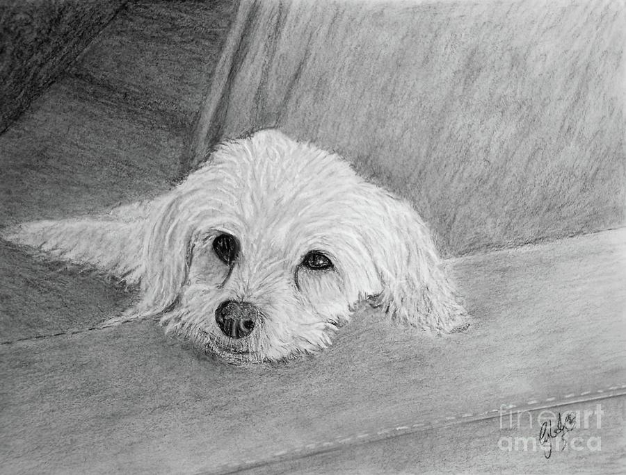 Buddy Pastel by Cybele Chaves