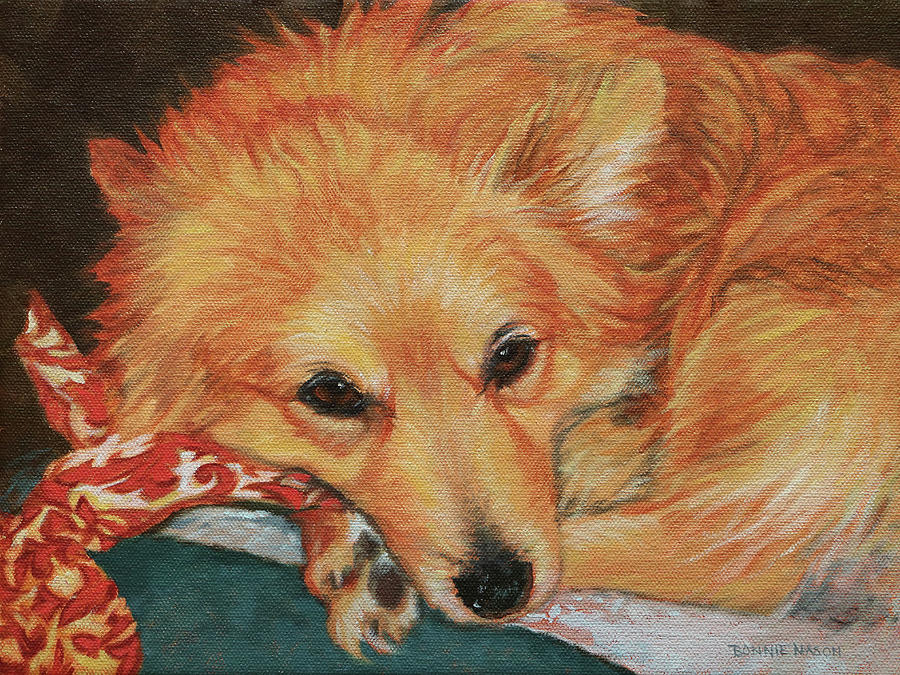 Dog Painting - Buddy - German Spitz - Mittelspitz by Bonnie Mason