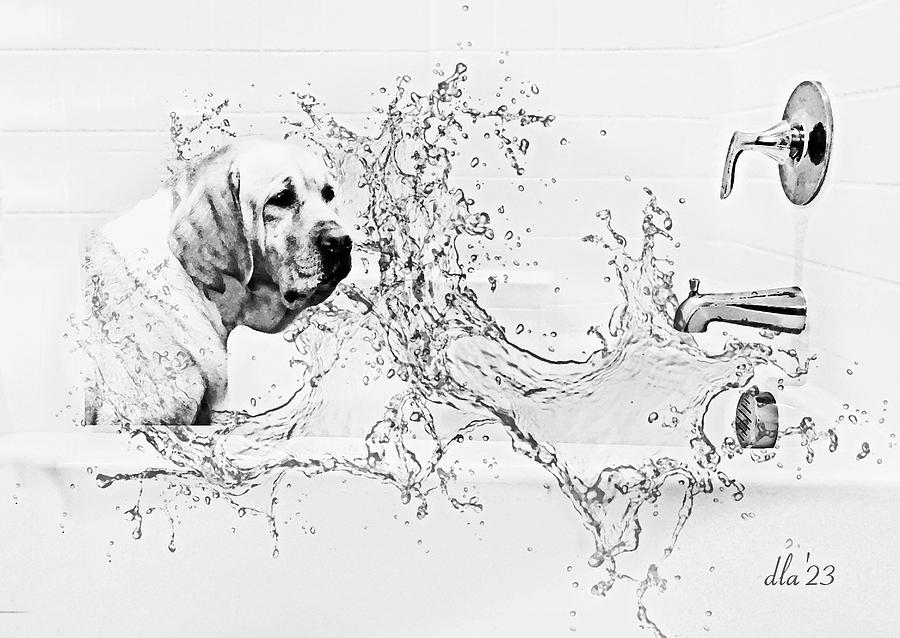 Buddys Bath Photograph by Diana Angstadt