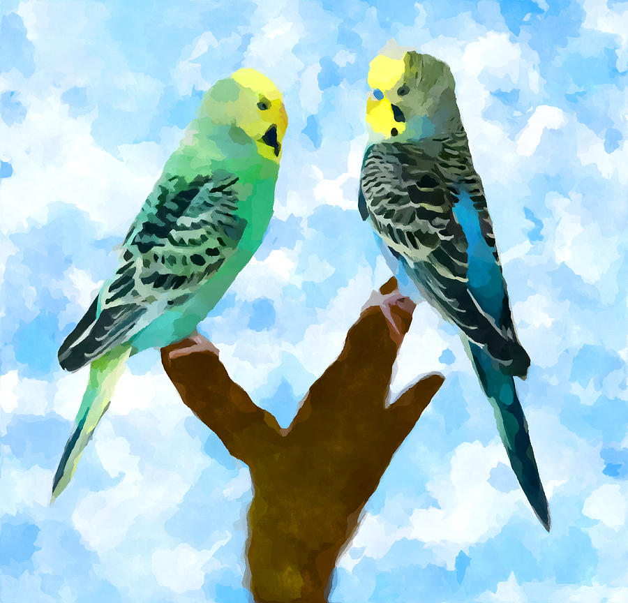 Budgies Painting by Chris Butler