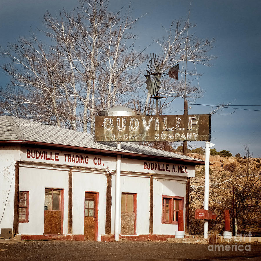 Budville Trading Company Photograph by Imagery by Charly