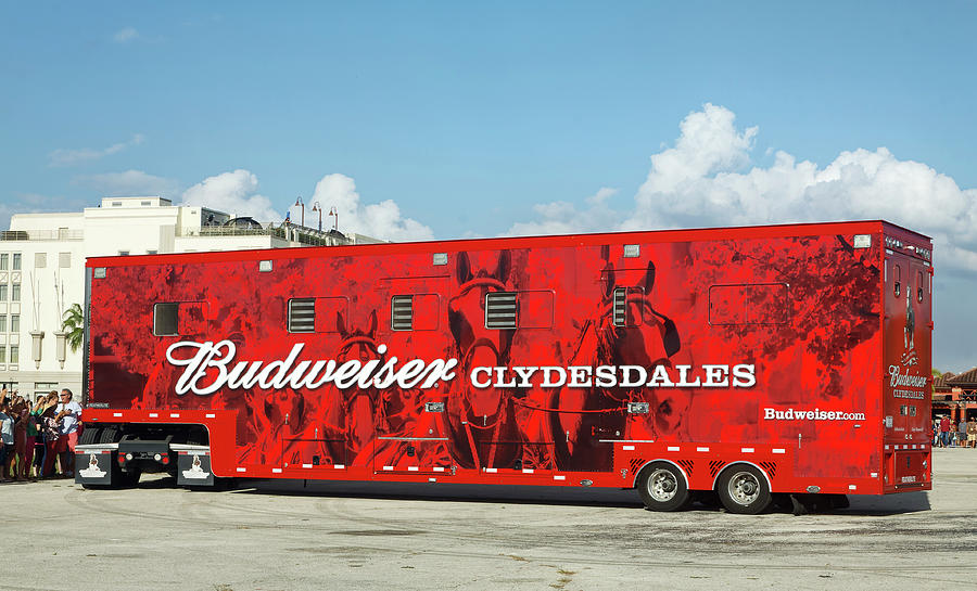 Budweiser Clydesdale Truck Photograph by Sally Weigand