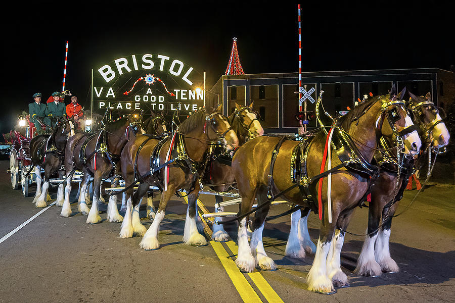 Budweiser Clydesdales At The Bristol Sign Photograph