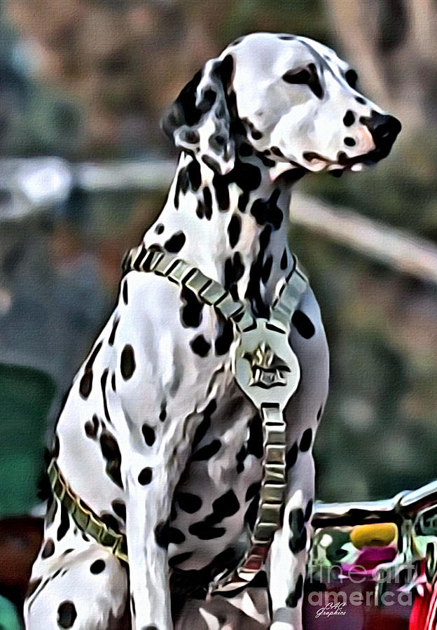 Budweiser Dalmatian Digital Art by CAC Graphics