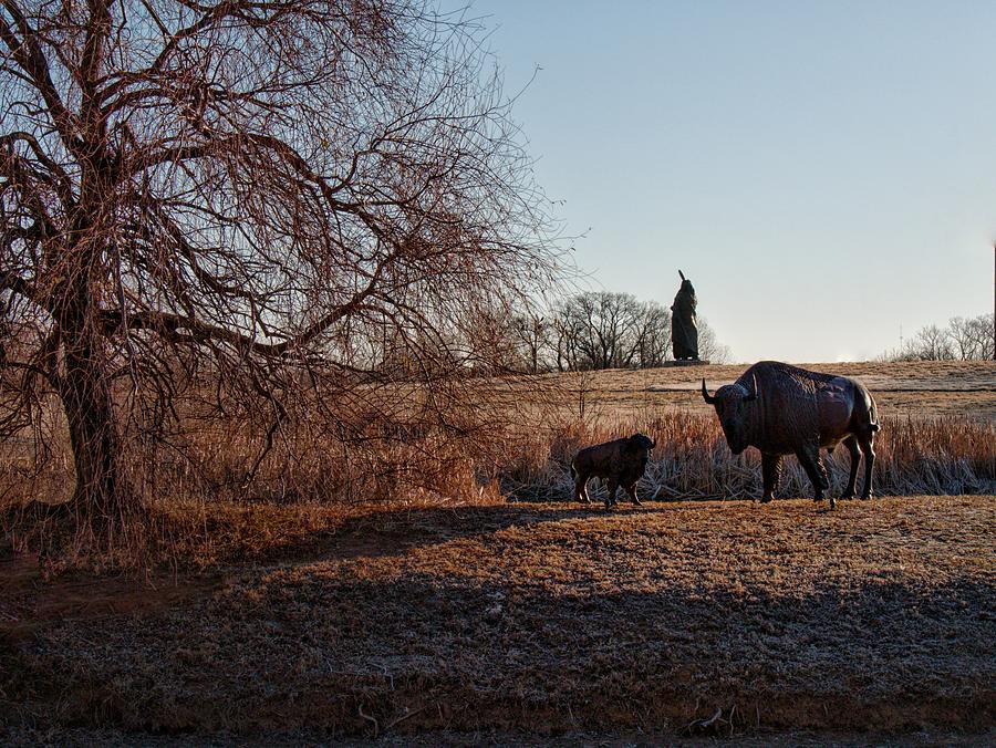 Buffalo and Calf Photograph by Buck Buchanan