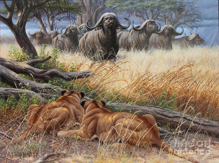 Lion Painting - Buffalo And Lioness by Cynthie Fisher