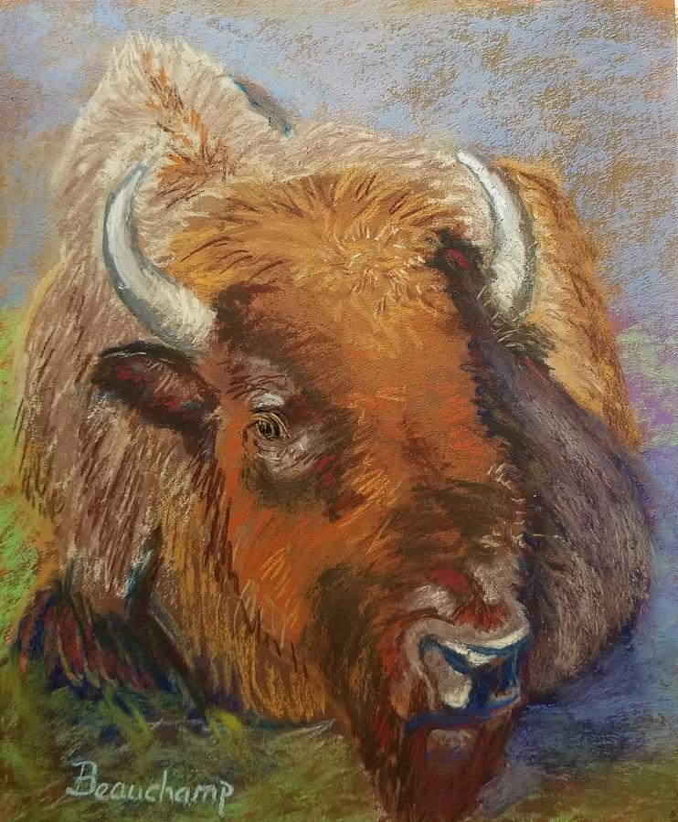 Buffalo at Rest Pastel by Nancy Beauchamp