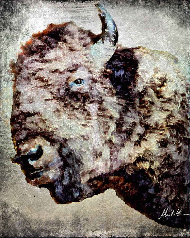 Buffalo Digital Art - Buffalo Beaute by Meredith Amon