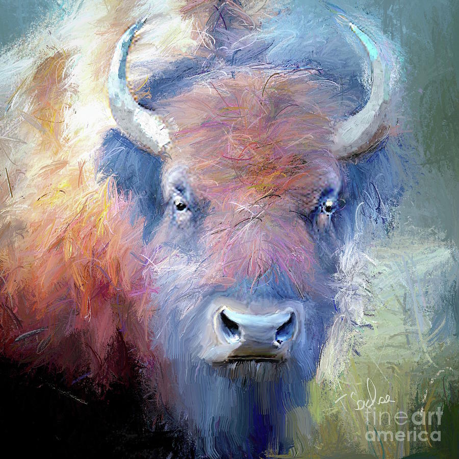 Buffalo Bison Digital Art by Tom Sachse - Fine Art America