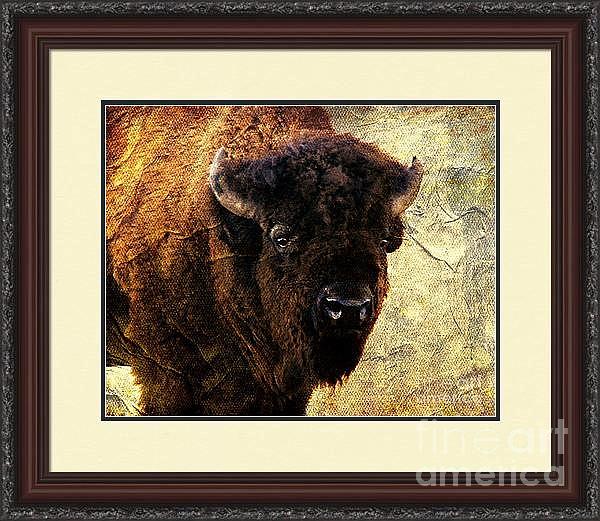 Buffalo Framed Digital Art by Linda Cox