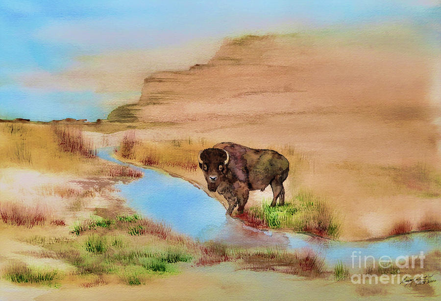 Watercolor Painting - Buffalo by Gary Martinek