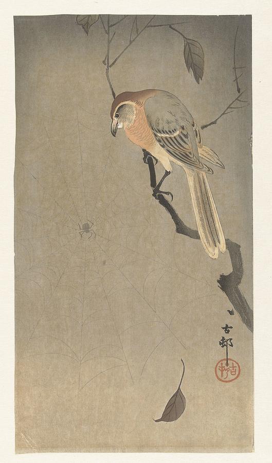 Buffalo Head Shrike And Spider Ohara Koson 1900 1930 Painting