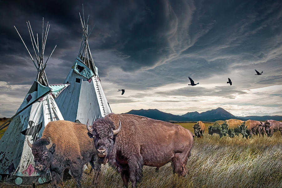 Buffalo Herd by Indian Tepees with Blackbirds  Photograph by Randall Nyhof