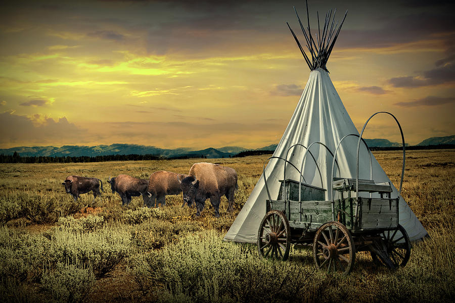 Buffalo Herd By Tepee And Pioneer Wagon On The Prarie Photograph