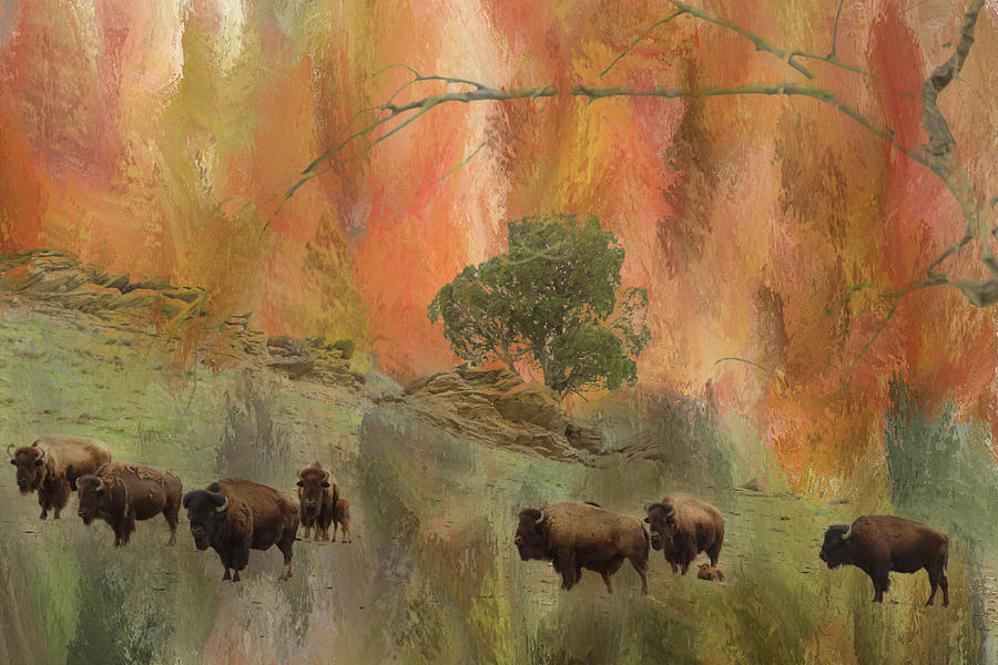 Buffalo Herd Watching Photograph by James BO Insogna