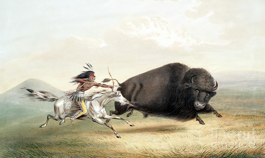 Buffalo Hunt, 1845 Painting by George Catlin