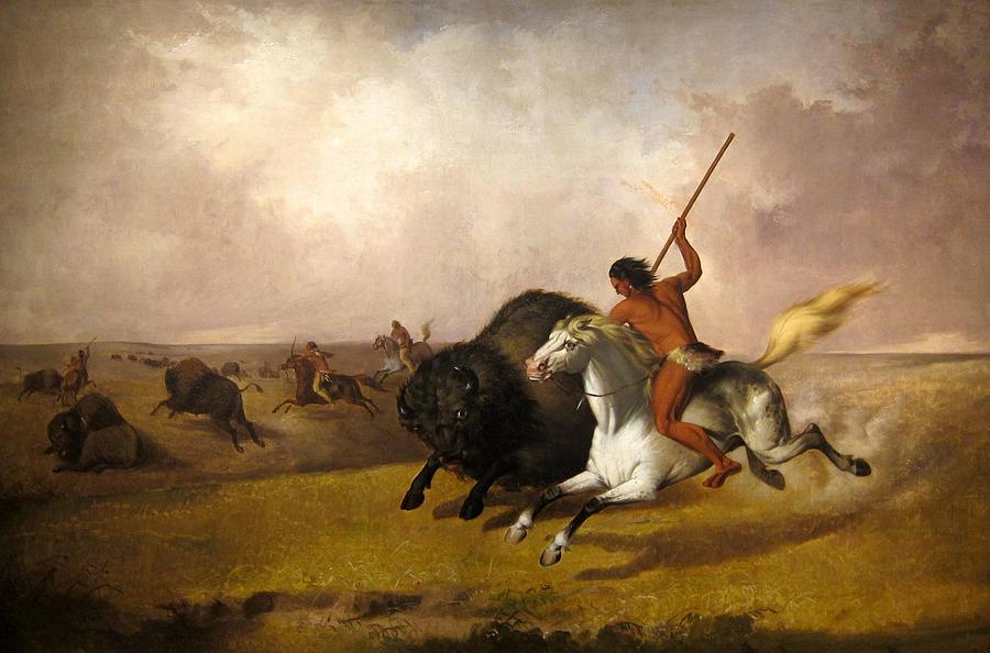 Buffalo hunt on the Southwestern plains Drawing by John Mix Stanley ...