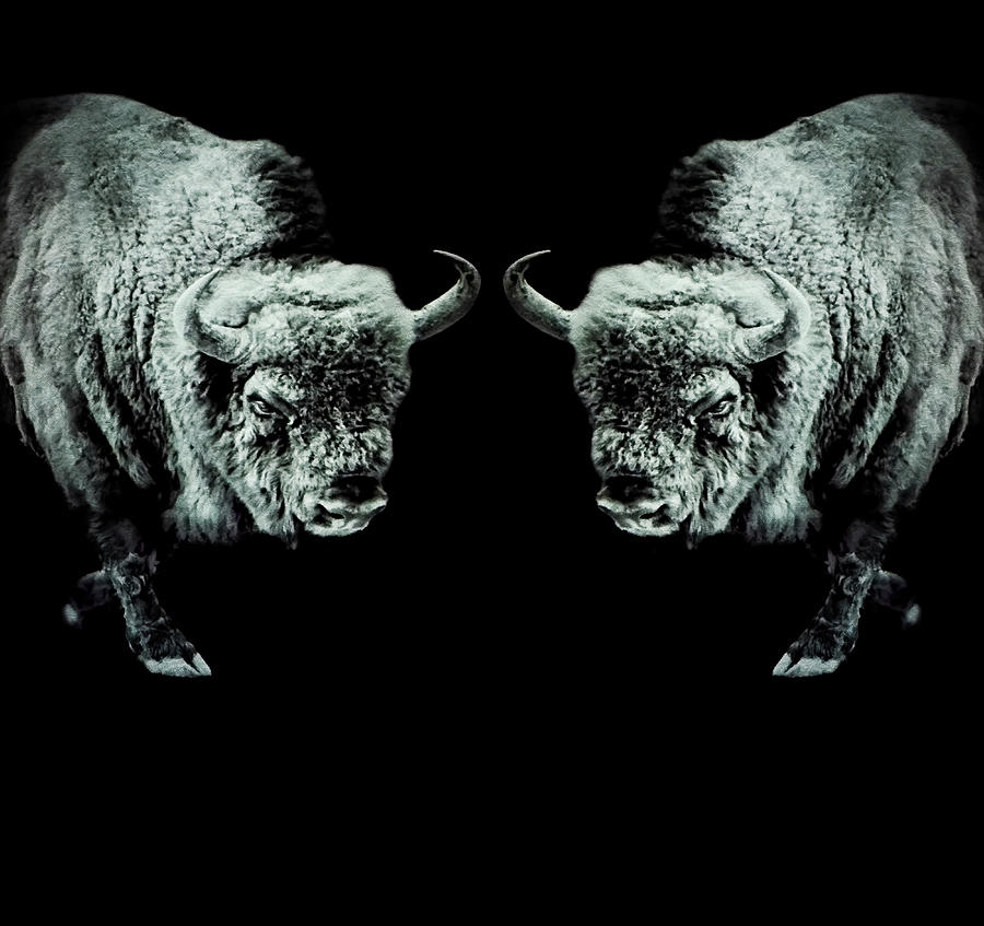 Buffalo Mask Digital Art by Weston Westmoreland