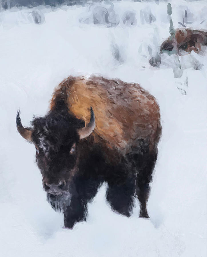 Buffalo Morning Painting by Gary Arnold