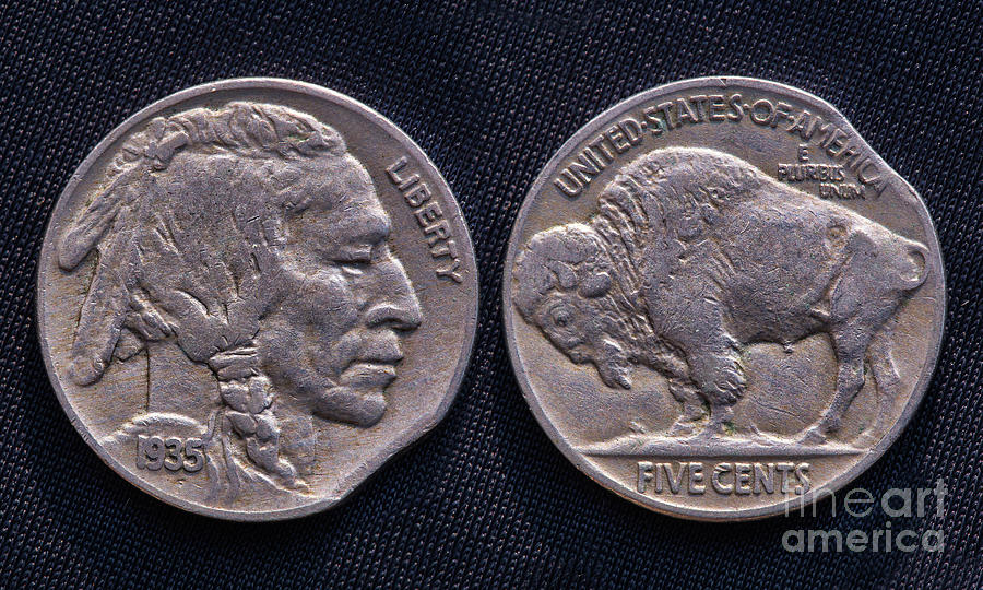 Buffalo Nickel Obverse and Reverse Photograph by Randy Steele