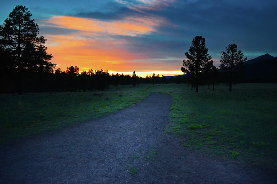 Buffalo Park Trail Sunset, Flagstaff AZ  Photograph by Chance Kafka
