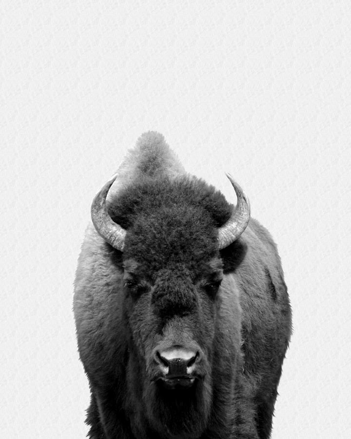 Buffalo Photo 135 black and white Photograph by Lucie Dumas