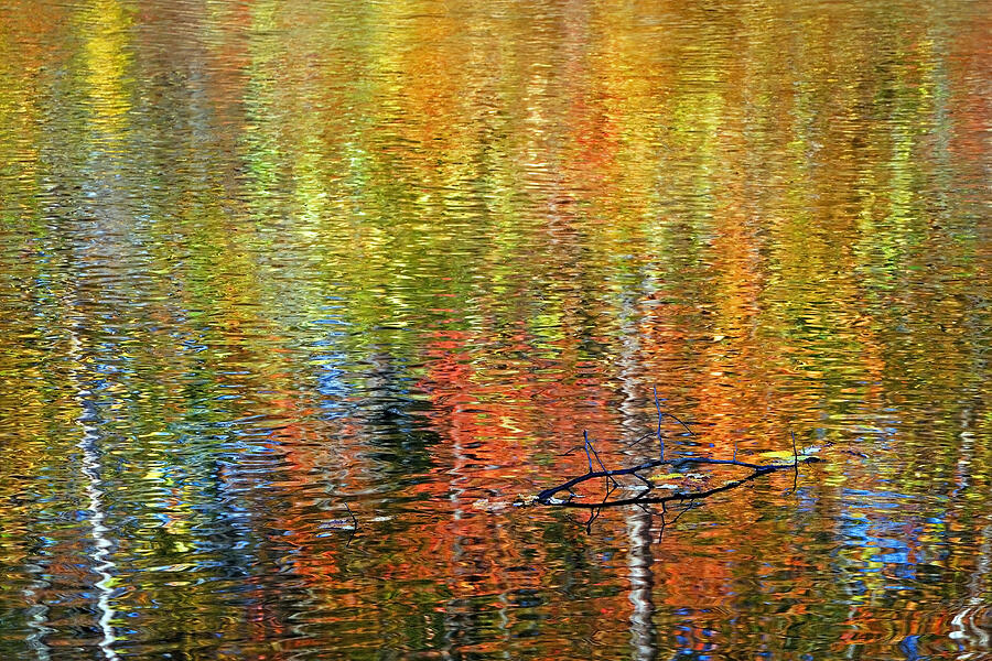 Buffalo River Monet Photograph